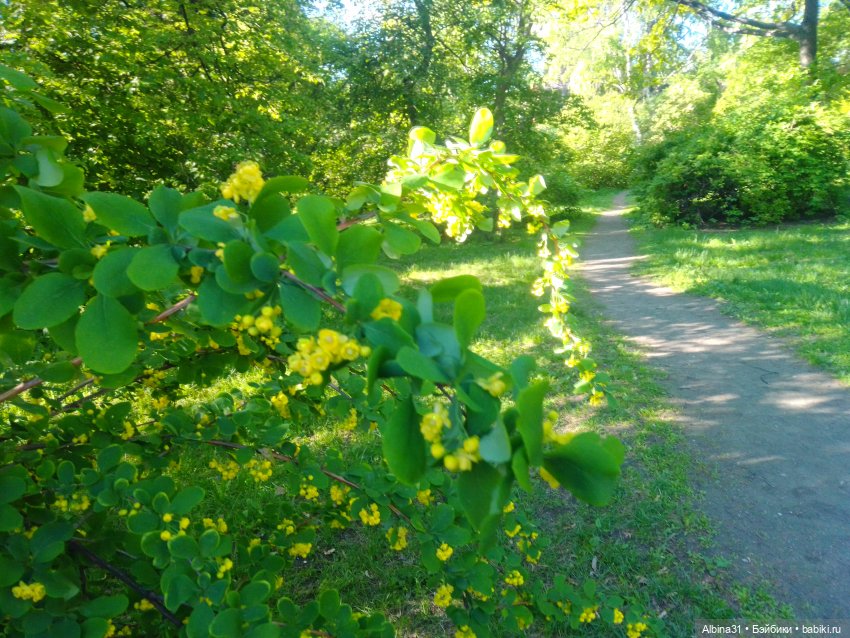 Дендрологический парк в Екатеринбурге 2022 год