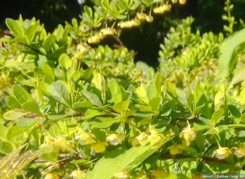 Дендрологический парк в Екатеринбурге 2022 год