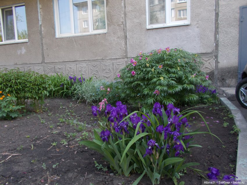 Просто так, накопилось — Игровые куклы разных производителей (Разное): редкие бренды (фото 3)