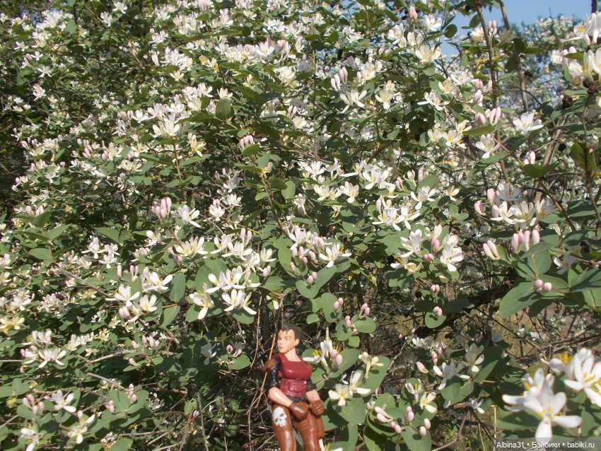 Просто так, накопилось — Игровые куклы разных производителей (Разное): редкие бренды