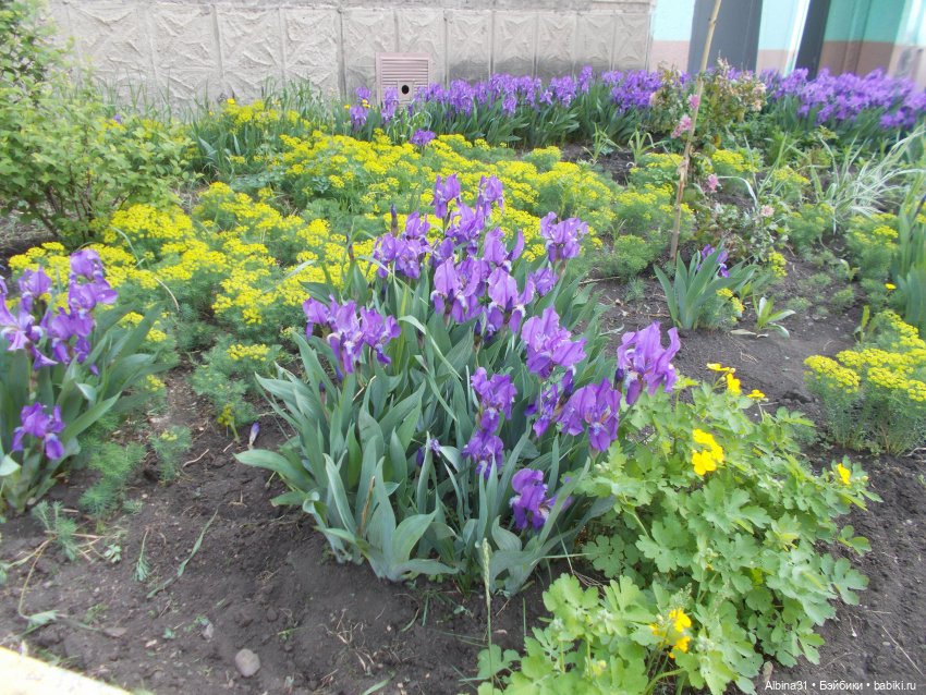 Просто так, накопилось — Игровые куклы разных производителей (Разное): редкие бренды (фото 5)