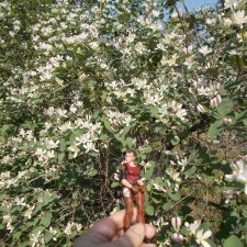 Просто  так, накопилось...