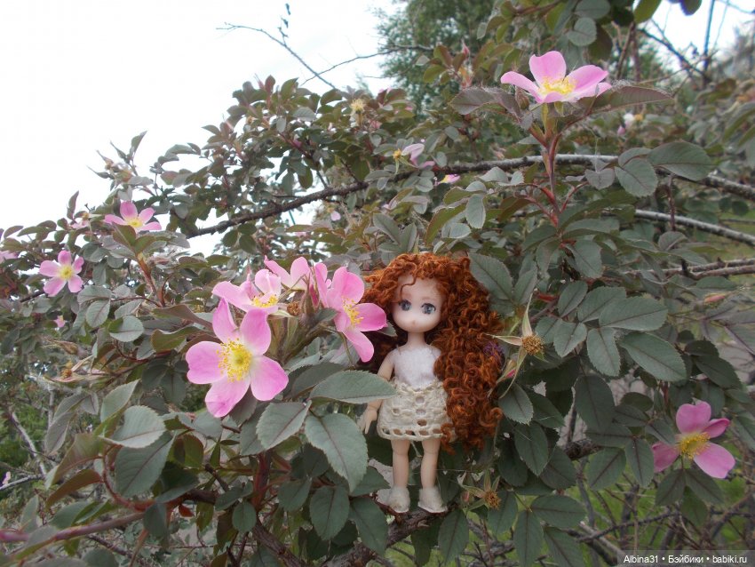 Просто так, накопилось — Игровые куклы разных производителей (Разное): редкие бренды (фото 6)