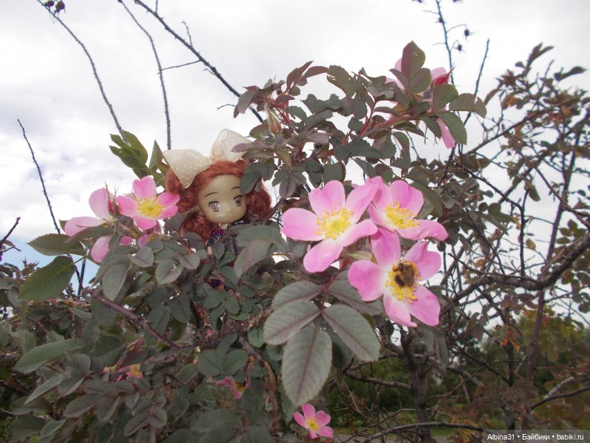 Просто так, накопилось — Игровые куклы разных производителей (Разное): редкие бренды (фото 7)