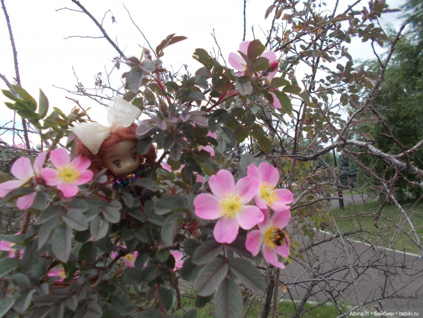 Просто так, накопилось — Игровые куклы разных производителей (Разное): редкие бренды (фото 8)