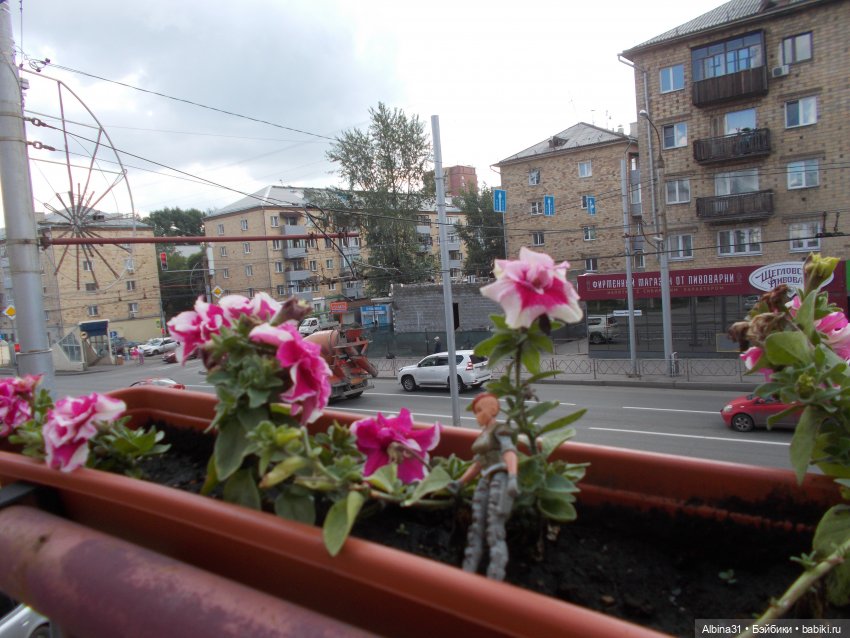 Городские зарисовки. Парк... Парк... Июль 2022 год | Бэйбики Городские зарисовки. Парк... Парк... Июль 2022 год