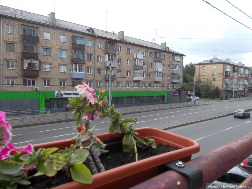 Городские зарисовки. Парк... Парк... Июль 2022 год | Бэйбики Городские зарисовки. Парк... Парк... Июль 2022 год (фото 2)