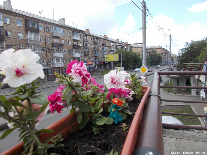 Городские зарисовки. Парк... Парк... Июль 2022 год | Бэйбики Городские зарисовки. Парк... Парк... Июль 2022 год (фото 3)