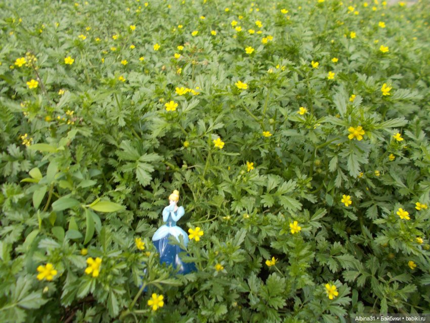 Городские зарисовки. Парк... Парк... Июль 2022 год | Бэйбики Городские зарисовки. Парк... Парк... Июль 2022 год (фото 5)