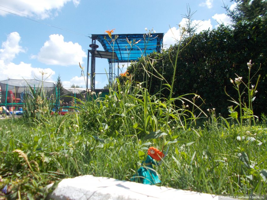 Городские зарисовки. Парк... Парк... Июль 2022 год | Бэйбики Городские зарисовки. Парк... Парк... Июль 2022 год (фото 9)