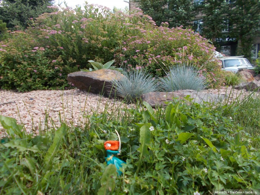 Городские зарисовки. Парк... Парк... Июль 2022 год | Бэйбики Городские зарисовки. Парк... Парк... Июль 2022 год (фото 8)