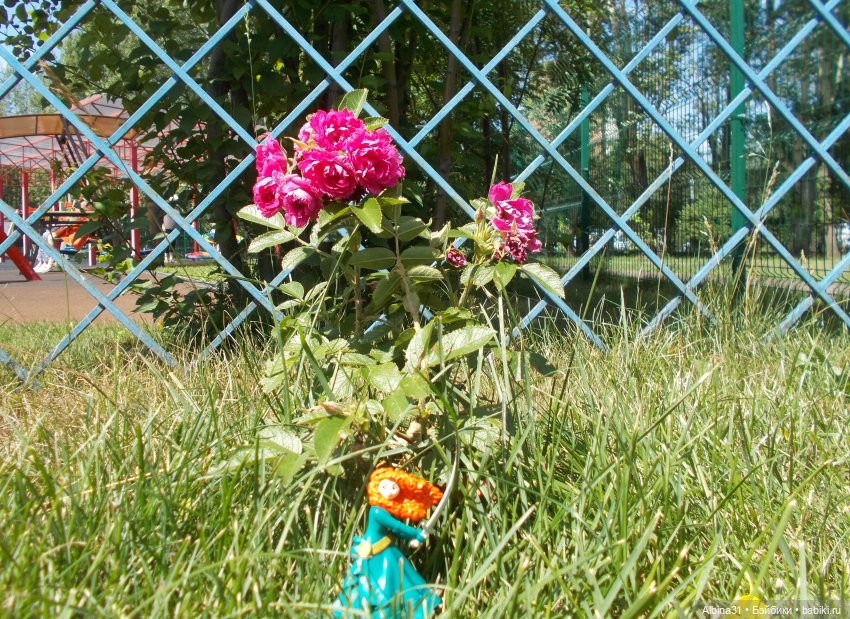 Городские зарисовки. Парк... Парк... Июль 2022 год | Бэйбики Городские зарисовки. Парк... Парк... Июль 2022 год