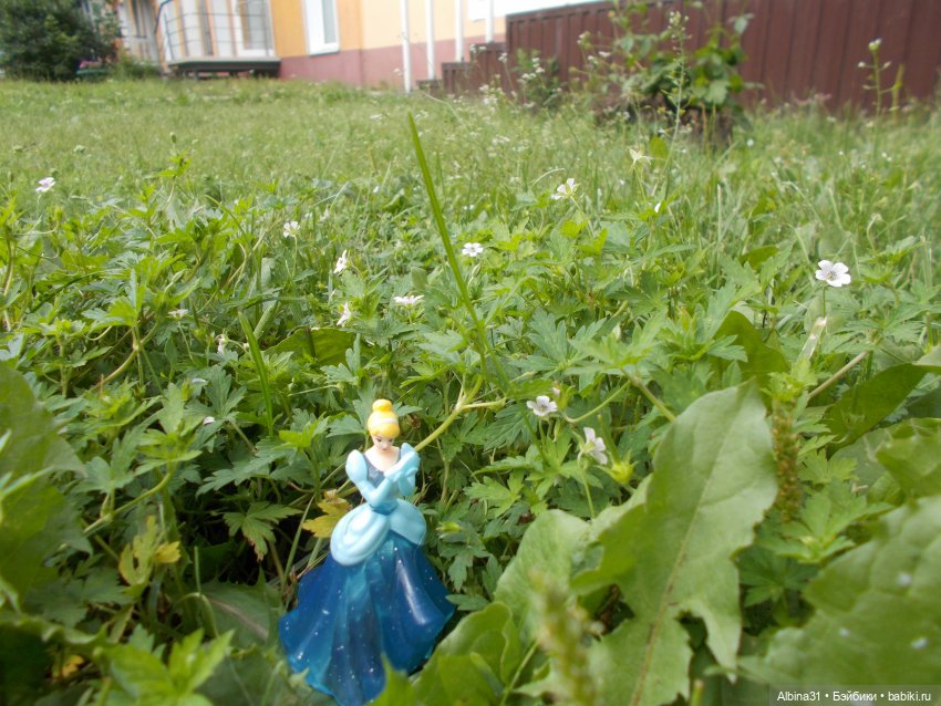 Городские зарисовки. Парк... Парк... Июль 2022 год | Бэйбики Городские зарисовки. Парк... Парк... Июль 2022 год (фото 4)