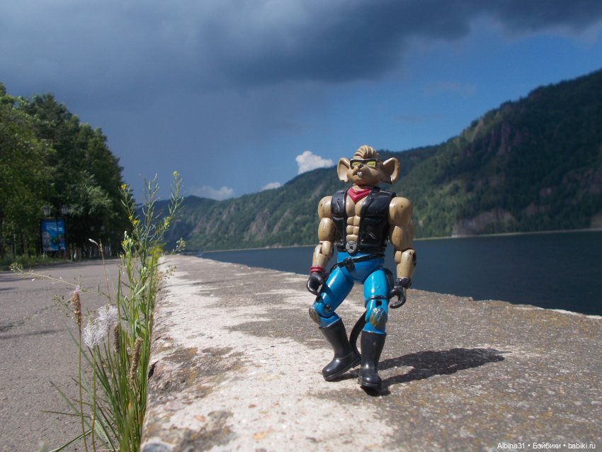 Дивногорск. Лето 2022 — Игровые куклы разных производителей (Разное): редкие бренды