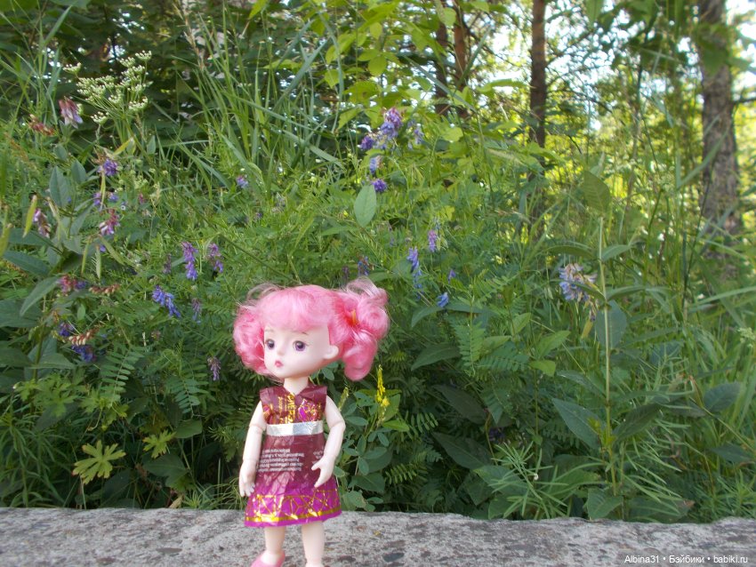 Дивногорск. Лето 2022 — Игровые куклы разных производителей (Разное): редкие бренды (фото 2)
