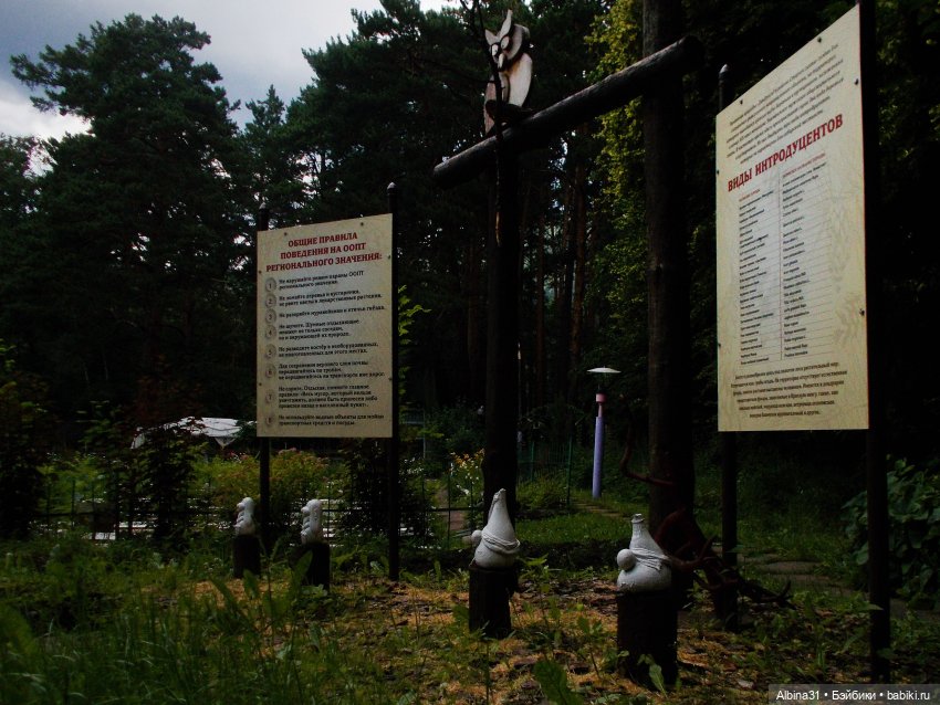 Дивногорск. Лето 2022 — Игровые куклы разных производителей (Разное): редкие бренды