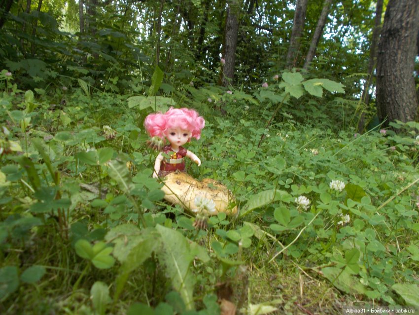 Дивногорск. Лето 2022 — Игровые куклы разных производителей (Разное): редкие бренды