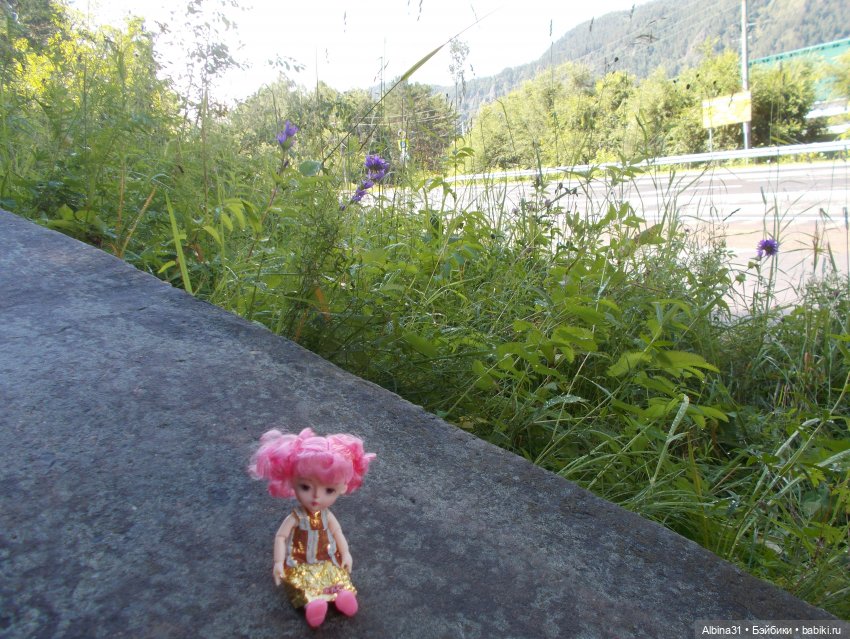 Дивногорск. Лето 2022 — Игровые куклы разных производителей (Разное): редкие бренды