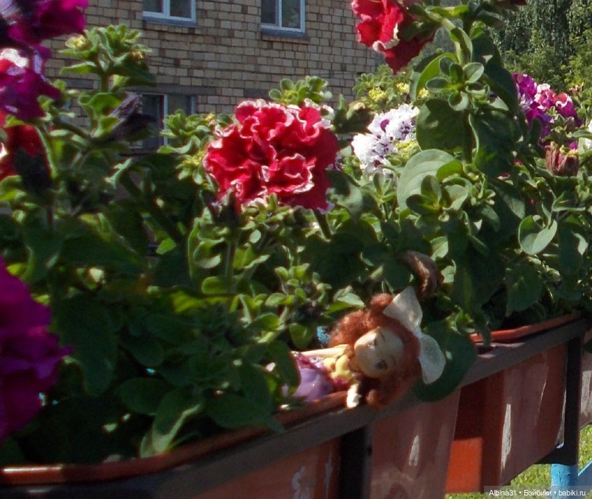 Дивногорск. Лето 2022 — Игровые куклы разных производителей (Разное): редкие бренды