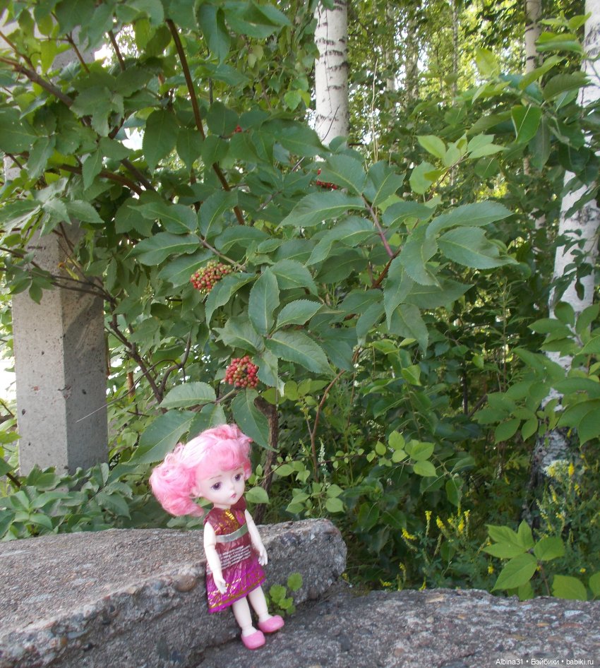 Дивногорск. Лето 2022 — Игровые куклы разных производителей (Разное): редкие бренды