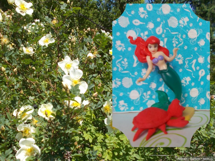 Не выставка, не музей, просто игрушки (11)