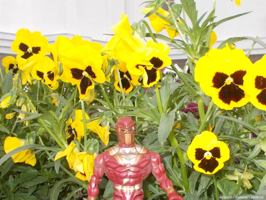 Самурай на прогулке — Игровые куклы разных производителей (Разное): редкие бренды