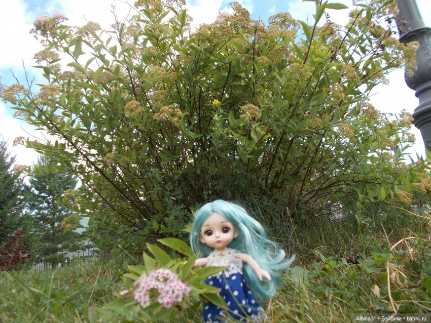 Городские зарисовки. Июль 2022