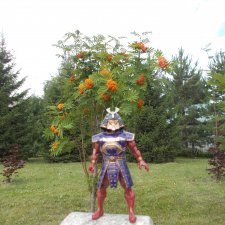 Самурай на прогулке