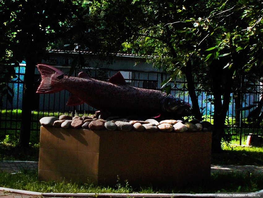 Городские зарисовки. Июль 2022 (фото 10)