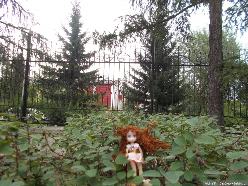 Сью в парке — Игровые куклы разных производителей (Разное): редкие бренды