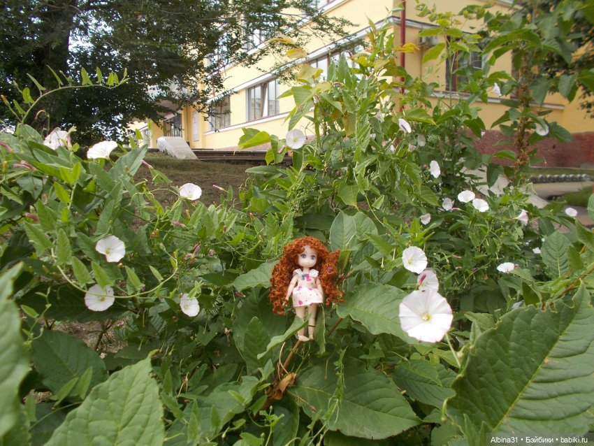 Городские зарисовки с кудряшкой Сью (фото 9)