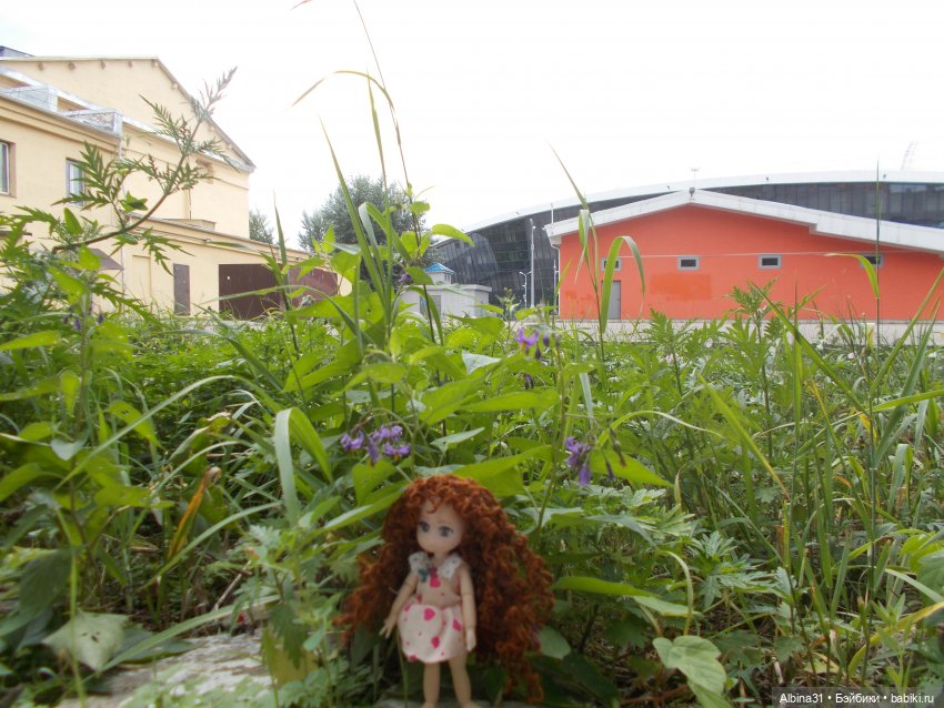 Городские зарисовки с кудряшкой Сью (фото 7)