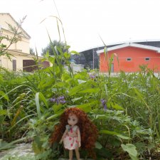 Городские зарисовки с кудряшкой Сью