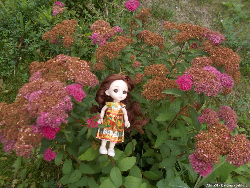 Цветы и куклы — Куклы Baboliy (Баболи (фото 10)