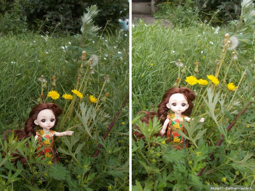 Цветы и куклы — Куклы Baboliy (Баболи (фото 5)
