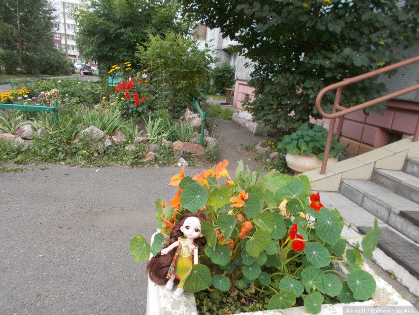Цветы и куклы — Куклы Baboliy (Баболи (фото 3)