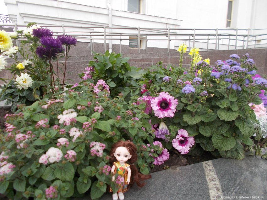 Цветы и куклы — Куклы Baboliy (Баболи