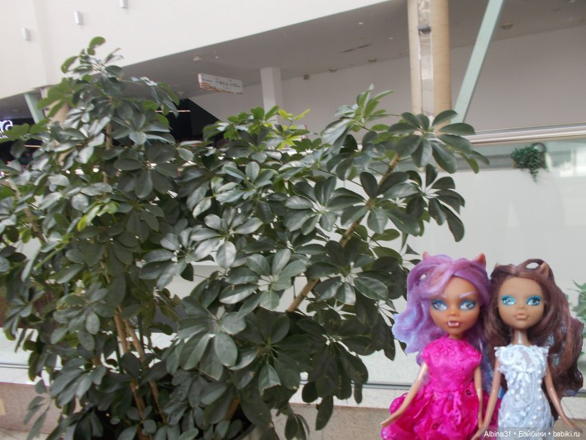 Магазин "Планета" — Игровые куклы разных производителей (Разное): редкие бренды