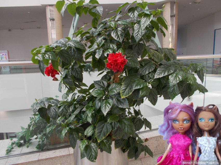 Магазин "Планета" — Игровые куклы разных производителей (Разное): редкие бренды