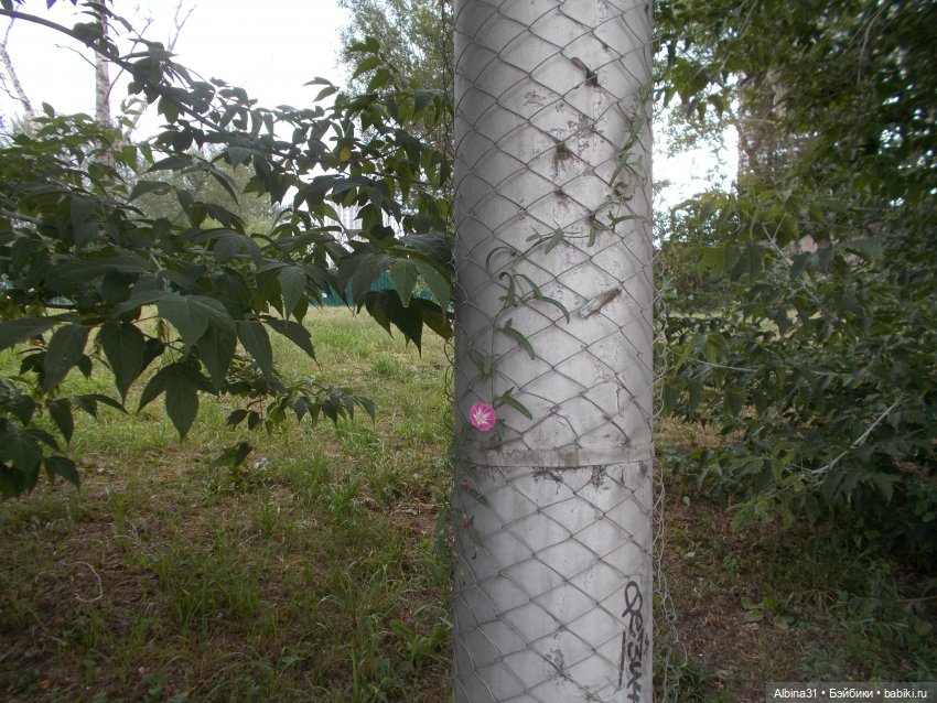 Городские зарисовки. Лето 2022