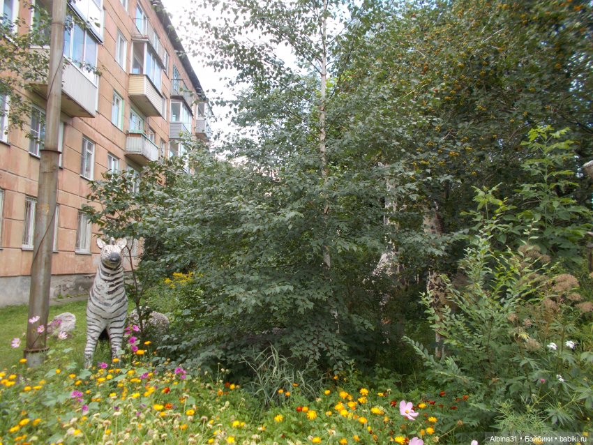 Рукотворный зоопарк — Куклы Baboliy (Баболи