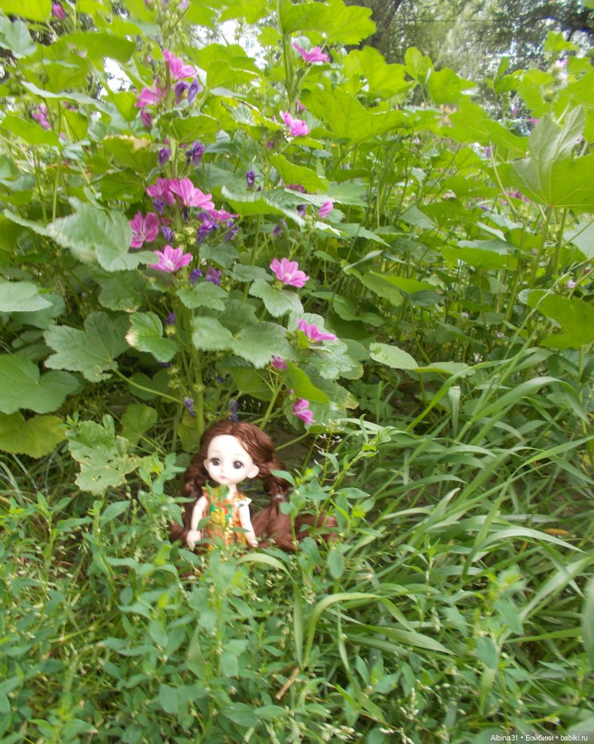 Цветы и куклы... 3 — Игровые куклы разных производителей (Разное): редкие бренды (фото 2)