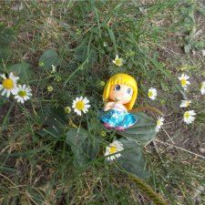 Цветы и куклы...  3