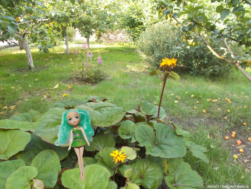 Цветы и куклы... 3 — Игровые куклы разных производителей (Разное): редкие бренды