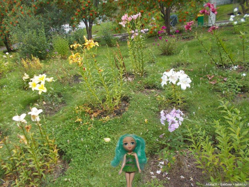 Цветы и куклы... 3 — Игровые куклы разных производителей (Разное): редкие бренды