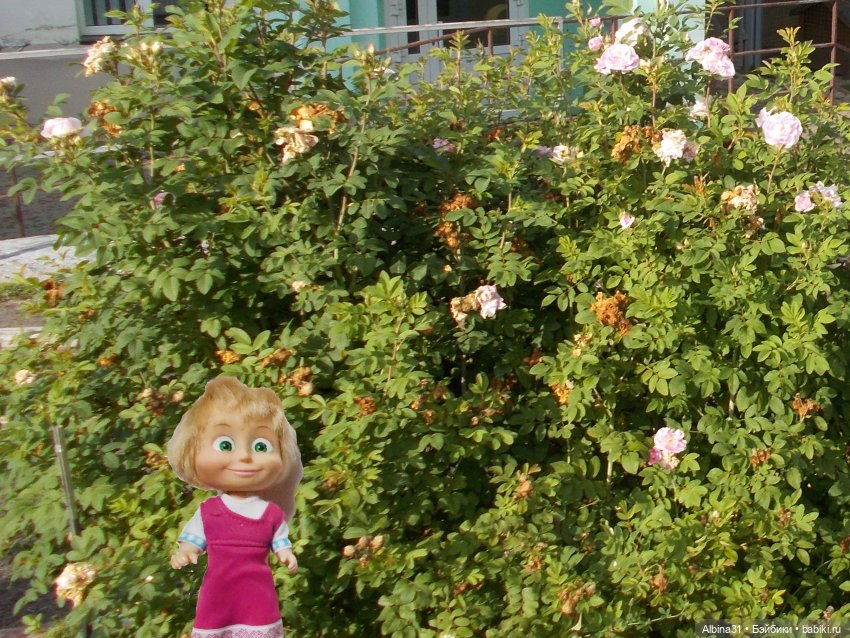 Цветы и куклы... 3 — Игровые куклы разных производителей (Разное): редкие бренды