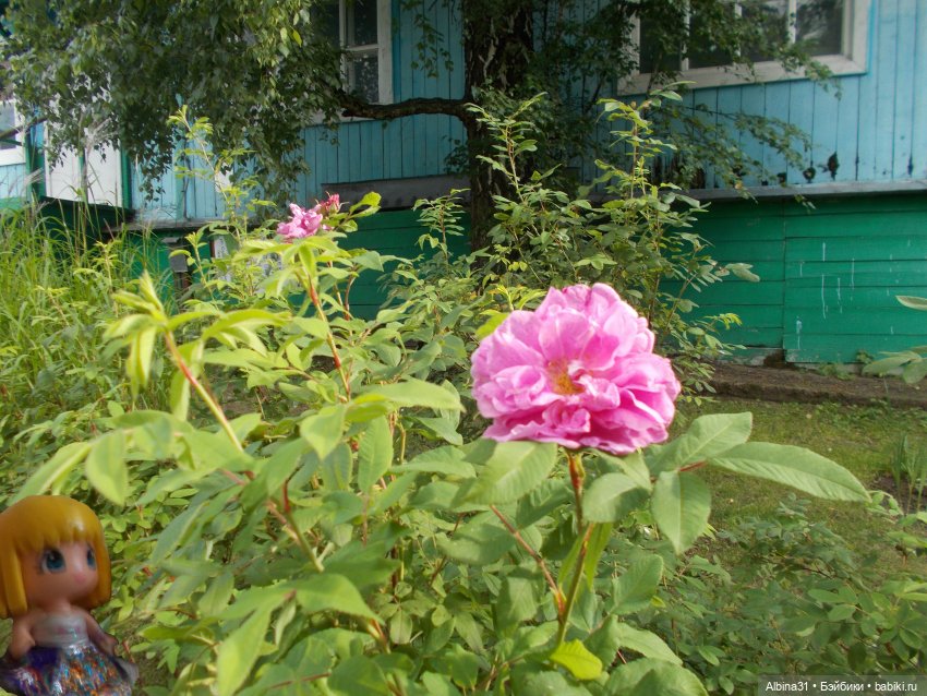 Цветы и куклы... 3 — Игровые куклы разных производителей (Разное): редкие бренды