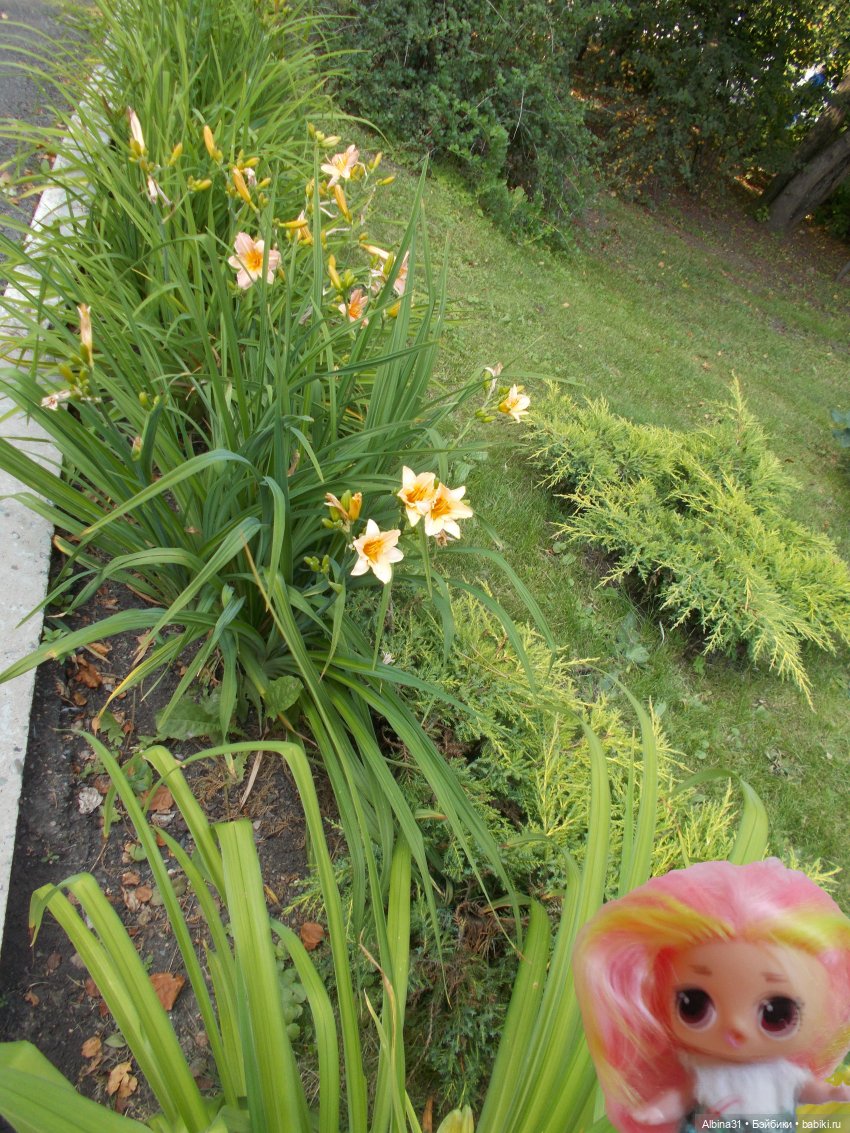 Цветы и куклы... 3 — Игровые куклы разных производителей (Разное): редкие бренды