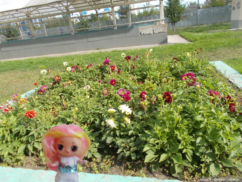 Цветы и куклы... 3 — Игровые куклы разных производителей (Разное): редкие бренды (фото 9)