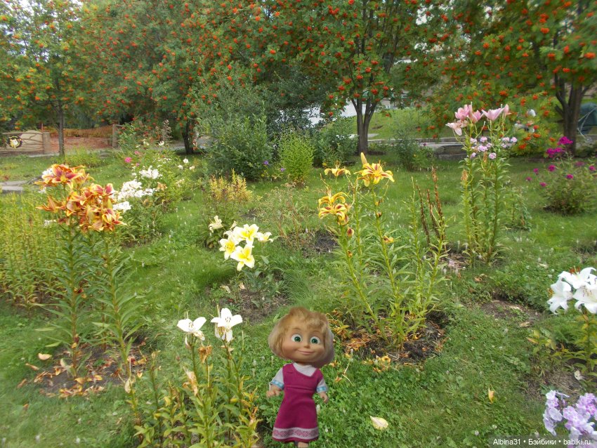 Цветы и куклы... 3 — Игровые куклы разных производителей (Разное): редкие бренды